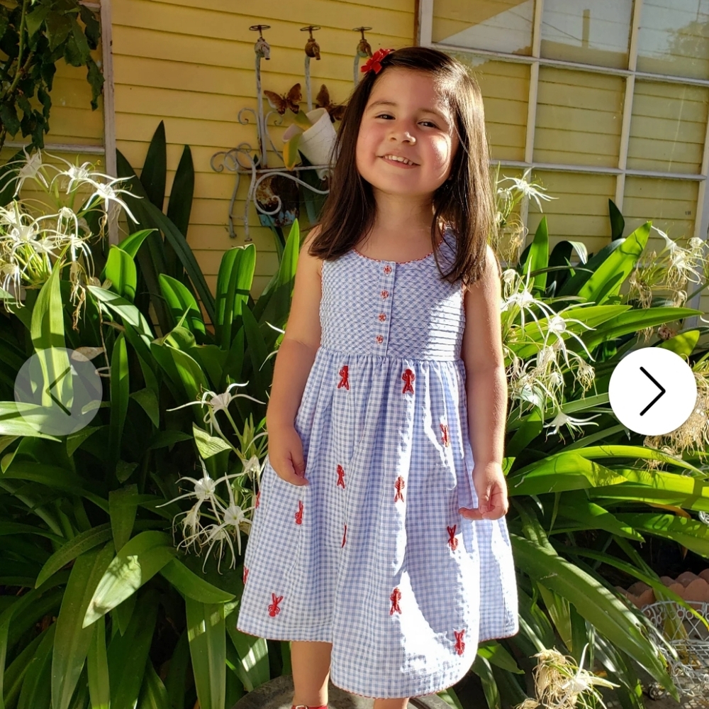 Blue and White Gingham Lobster Kids Dress